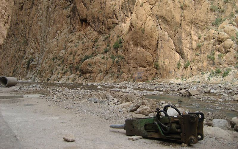 Mar del Rey, narradora