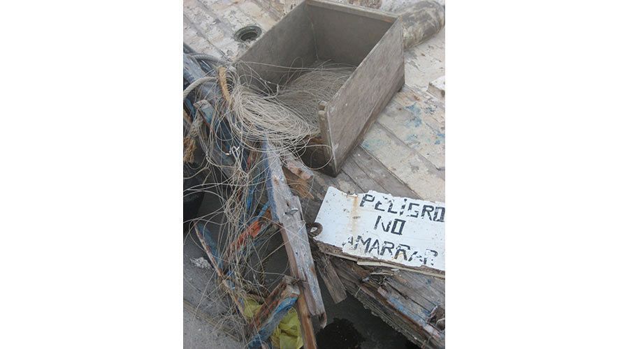 Mar del Rey, narradora
