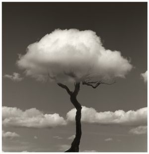 Chema Madoz Chema Madoz