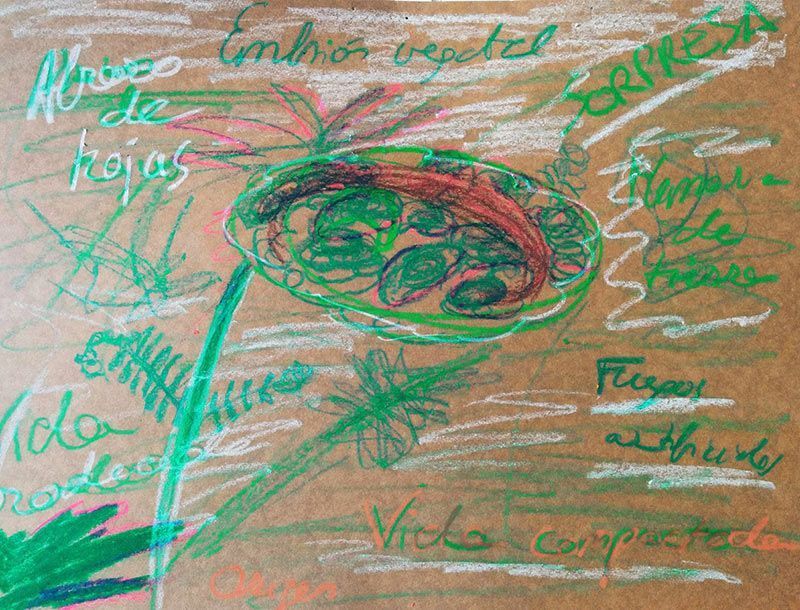 Dibujo con parte de las ideas Dibujo con parte de las ideas
