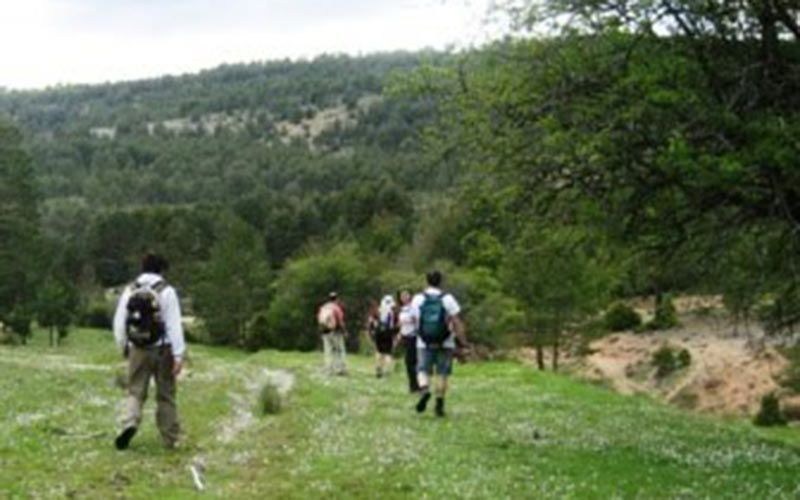 Mar del Rey, narradora