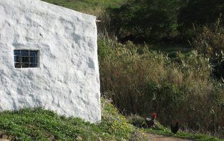 Mar del Rey, narradora