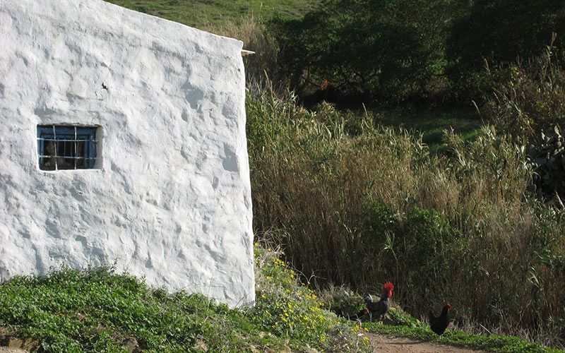 Mar del Rey, narradora