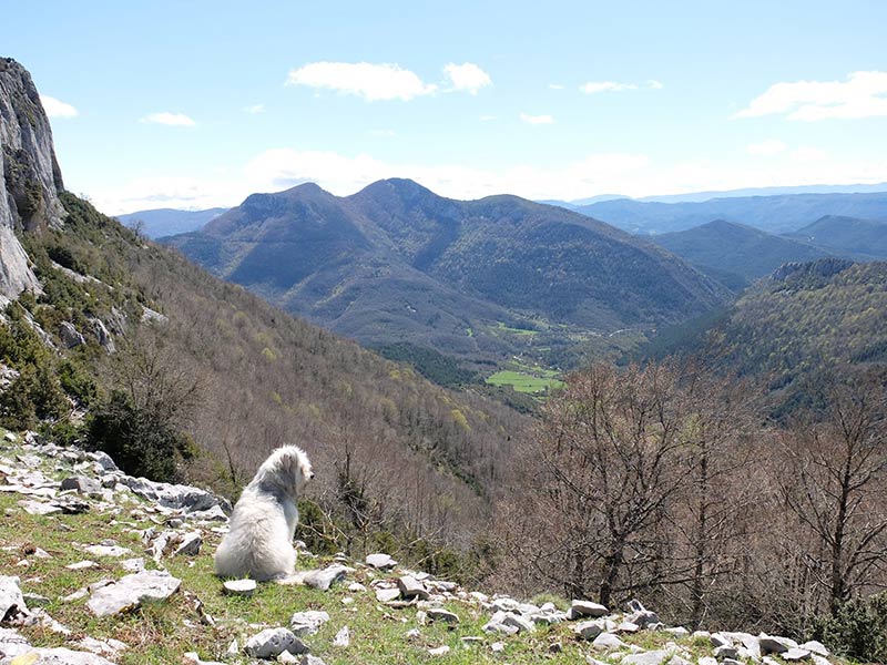 Udi el viajero