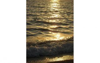 Mar del Rey, narradora