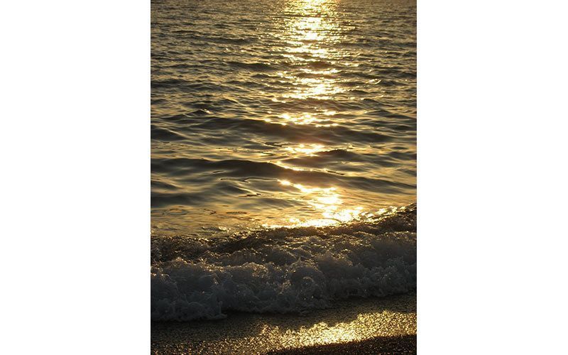 Mar del Rey, narradora