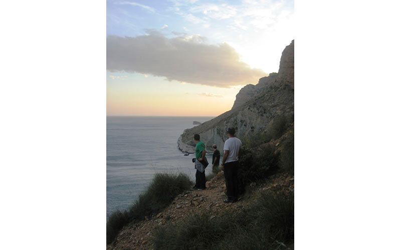 Mar del Rey, narradora