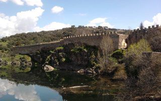 Mar del Rey, narradora