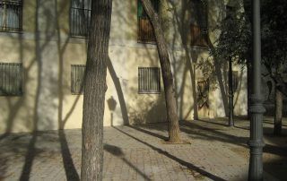Mar del Rey, narradora
