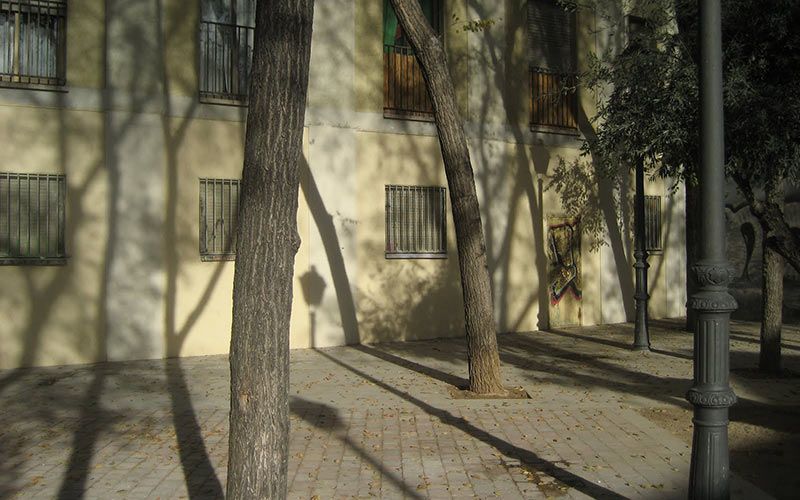 Mar del Rey, narradora